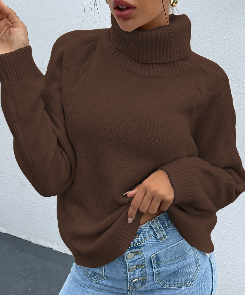 Brown Turtleneck Drop Shoulder Sweater