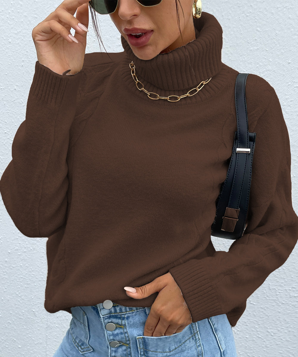 Brown Turtleneck Drop Shoulder Sweater